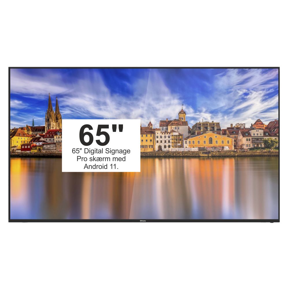 AVDisplay Signage PRO 65